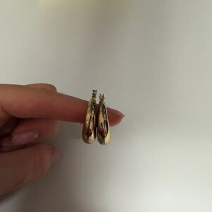 Elegant Gold Hoop Earrings